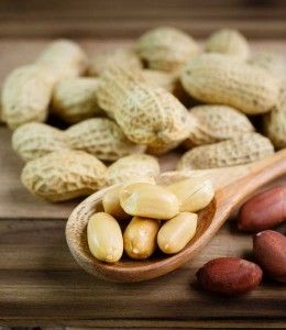 Torronalba PASTA ARACHIDE 100%, 3k/vödör termék fő termékképe