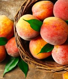 Torronalba PESCA, 3,5kg/vödör termék fő termékképe