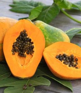 Torronalba PAPAYA, 3,5kg/vödör termék fő termékképe