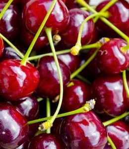 Torronalba VARIEGATO AMARENA, 3,5kg/vödör termék fő termékképe